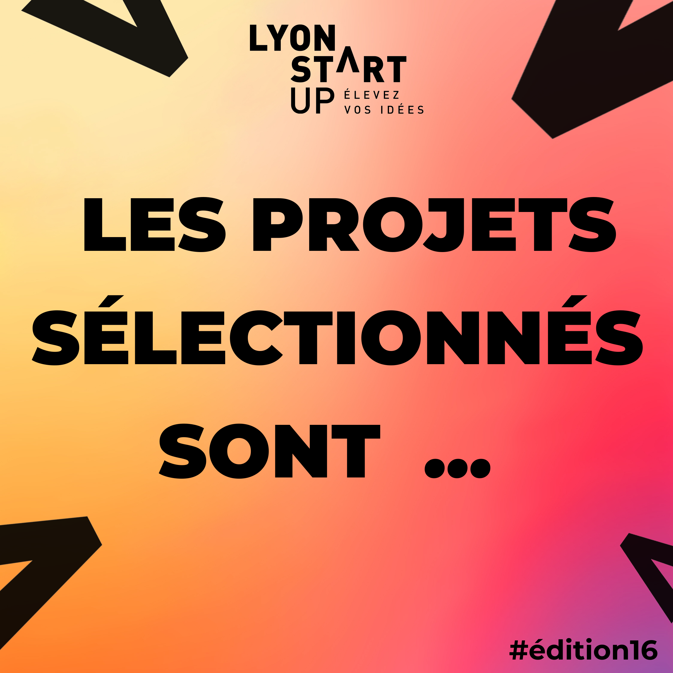 Image de l'article Les 100 sélectionnés_édition 16